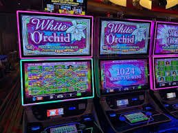 74 bet app